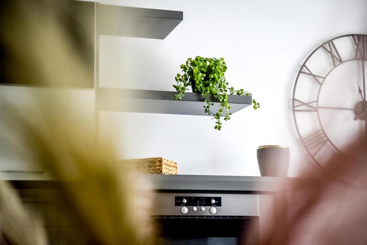 נובי טארג Podtatrzanskie Apartamenty מראה חיצוני תמונה